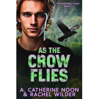 As the Crow Flies: The Foundlings, Caden, Book 1