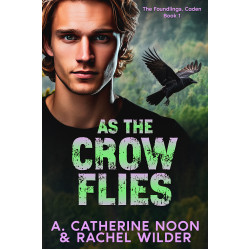 As the Crow Flies: The Foundlings, Caden, Book 1