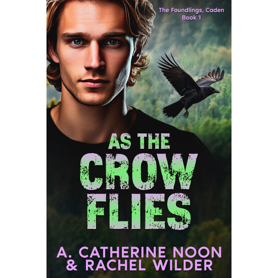 As the Crow Flies: The Foundlings, Caden, Book 1