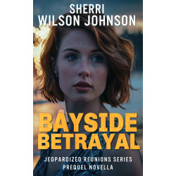 Bayside Betrayal: Novella: a Second Chance, Forced Proximity clean romantic suspense