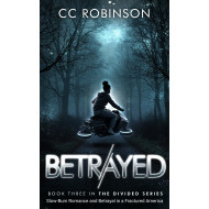 Slow-Burn Romance and Betrayal in a Fractured America; Book Three in The Divided Series
