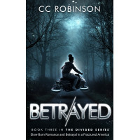 Slow-Burn Romance and Betrayal in a Fractured America; Book Three in The Divided Series