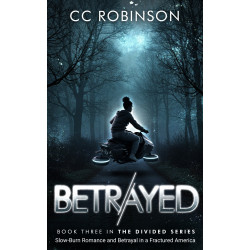 Slow-Burn Romance and Betrayal in a Fractured America; Book Three in The Divided Series