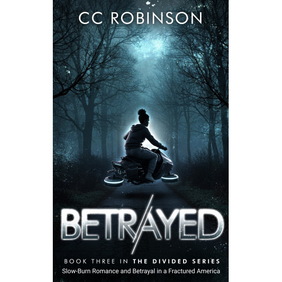 Slow-Burn Romance and Betrayal in a Fractured America; Book Three in The Divided Series