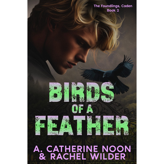 Birds of a Feather: The Foundlings, Caden, Book 2