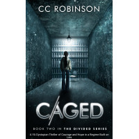 A YA Dystopian Thriller of Courage and Hope in a Regime Built on Lies; Book Two in the Divided Series