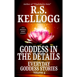Goddess in the Details: Everyday Goddess Stories (Paperback)