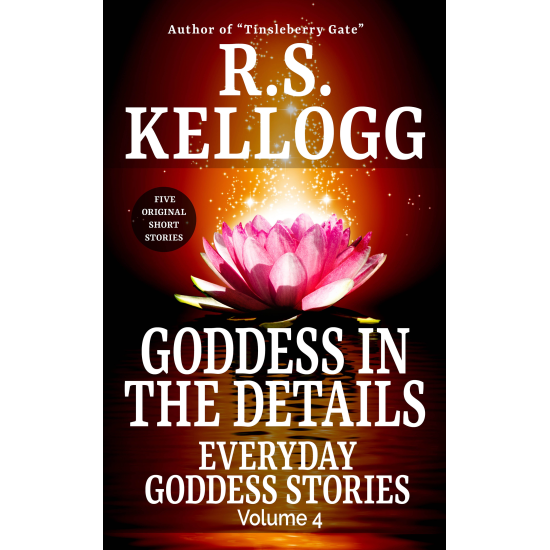 Goddess in the Details: Everyday Goddess Stories (Paperback)