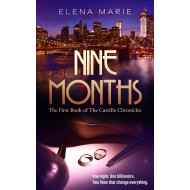 Nine Months: The Castille Chronicles: Steamy Emotional Romance