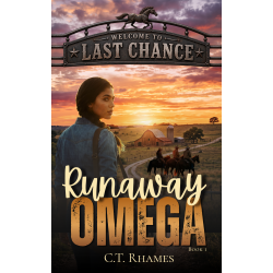 Welcome to Last Chance: Runaway Omega