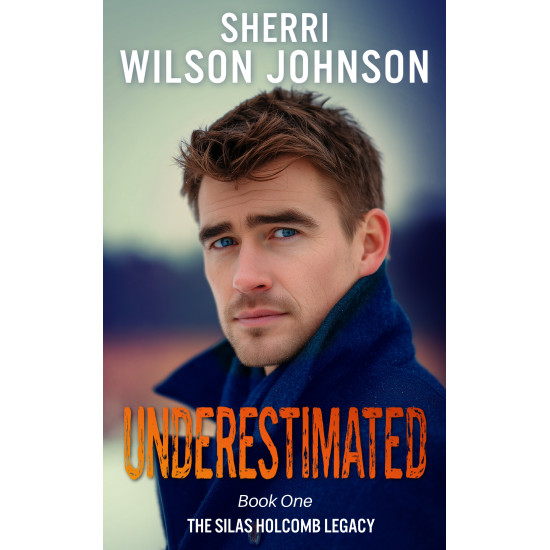 Underestimated: a Closed Door Romantic Mystery Suspense set at Christmas
