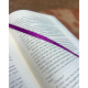 Storm of Desolation — Collector's Edition Foiled Hardback + eBook